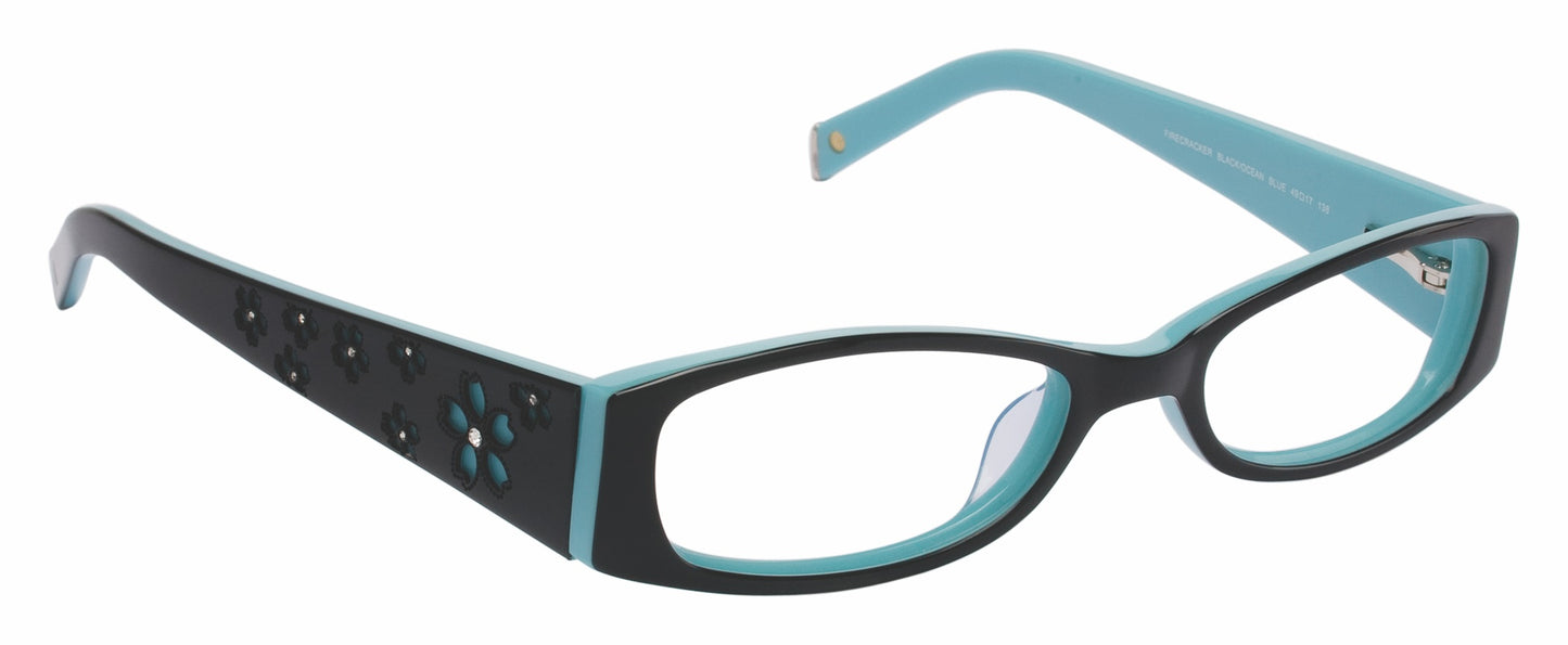 Transparent Full Rim Oval LL103 Eyeglasses