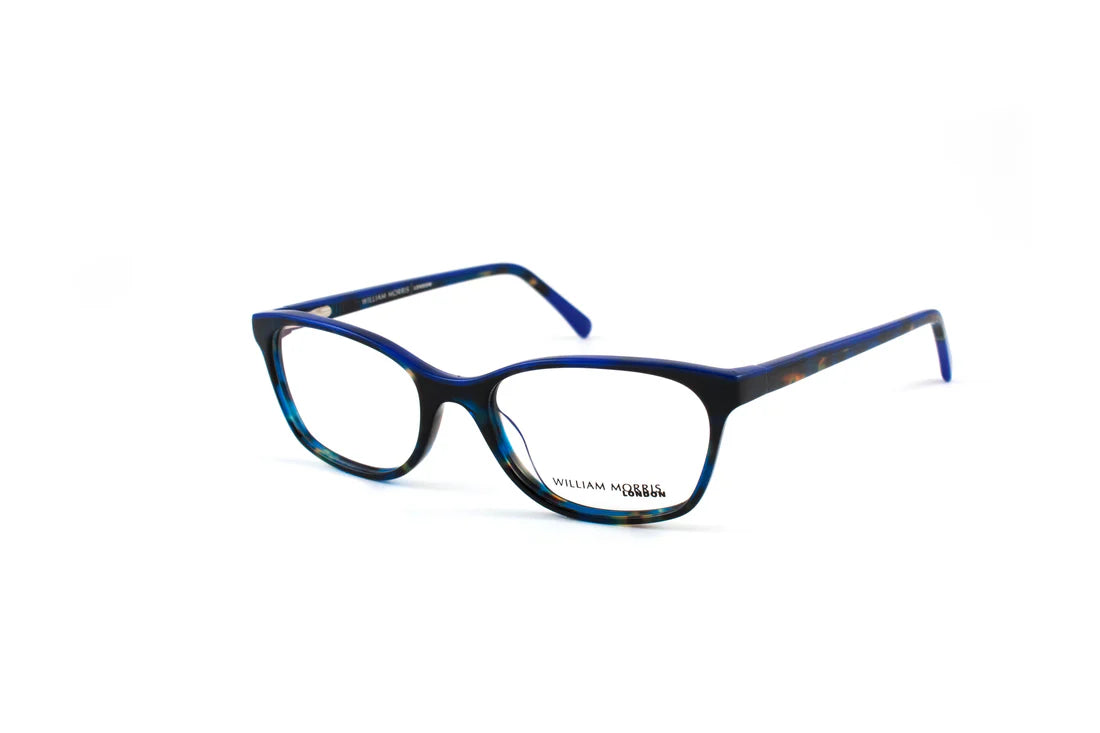 Blue Transparent Full Rim Rectangle Eyeglasses WM50020
