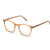 Brown Full Frame Rectangle Eyeglasses CSNY30113