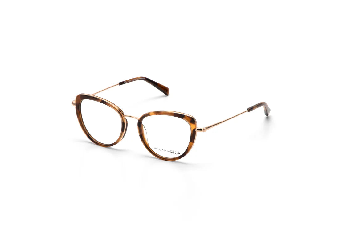 Brown Transparent Full Rim Oval Eyeglasses WM50204
