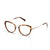 Brown Transparent Full Rim Oval Eyeglasses WM50204