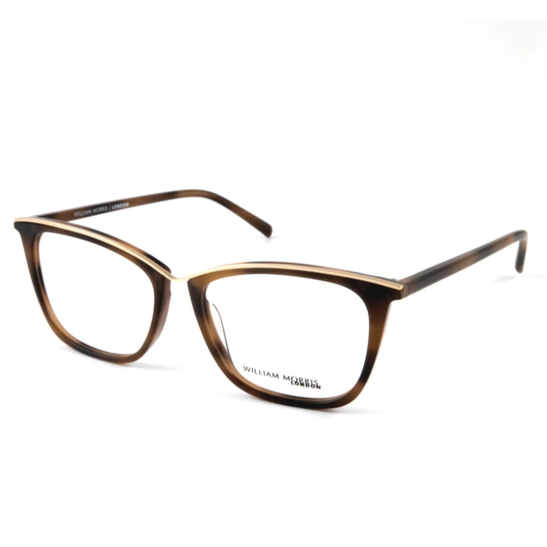 Brown Transparent Full Rim Rectangle Eyeglasses WM50117