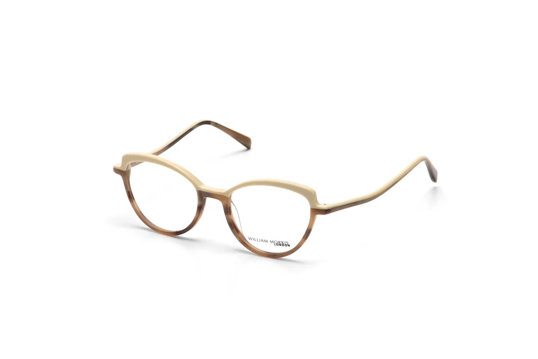 Brown Transparent Full Rim Rectangle Eyeglasses WM50205