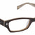 Gray Transparent Full Rim Cat Eye Eyeglasses LL102