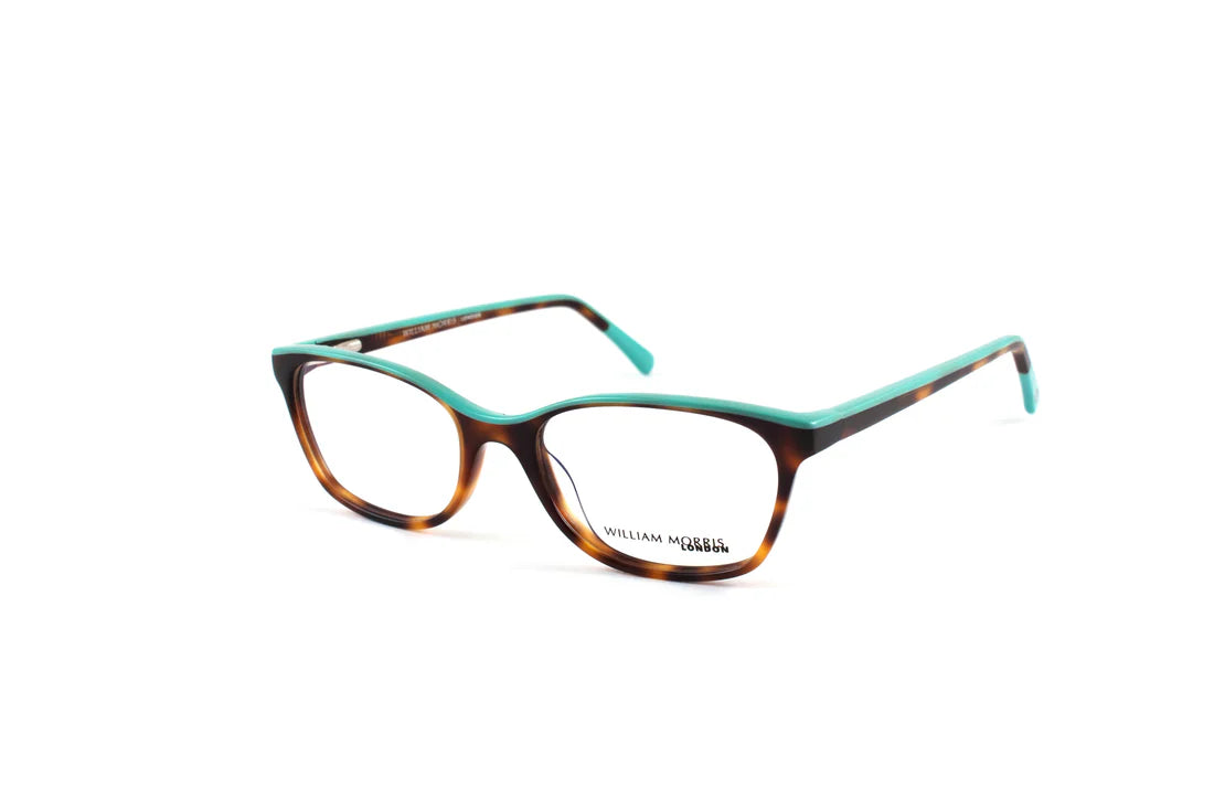 Green Transparent Full Rim Rectangle Eyeglasses WM50020