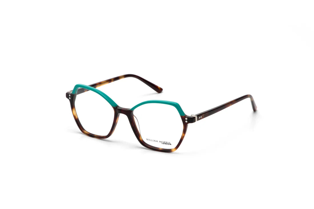 Green Transparent Full Rim Rectangle Eyeglasses WM50216