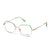 Green Transparent Full Rim Rectangle Eyeglasses WM50220