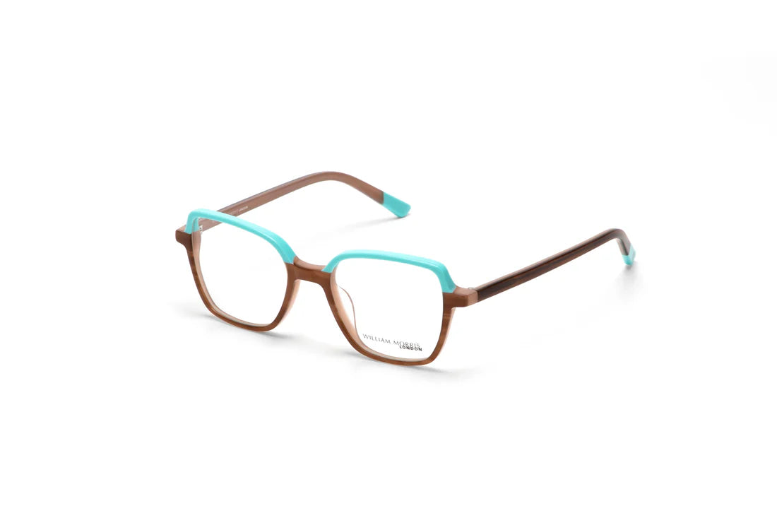 Green Transparent Full Rim Rectangle Eyeglasses WM50236