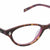 Plum Transparent Full Rim Cat Eye Eyeglasses LL110