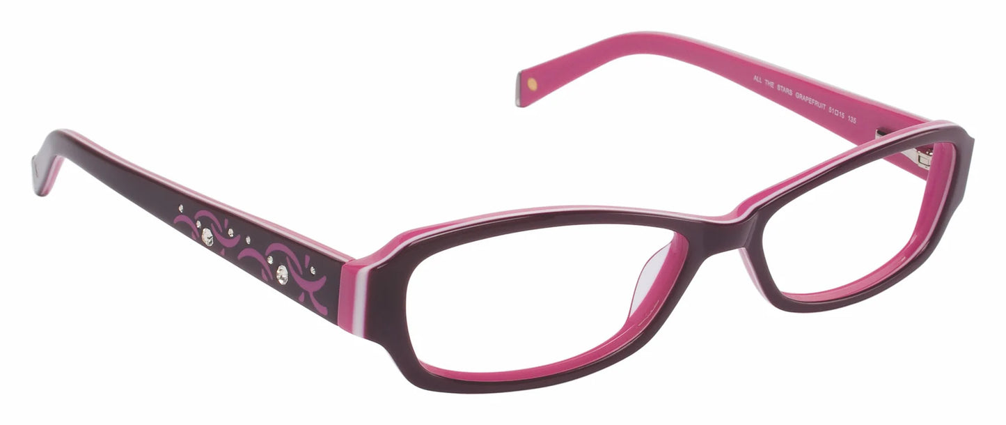 Purple Full Rim Cat Eye Eyeglasses LL100
