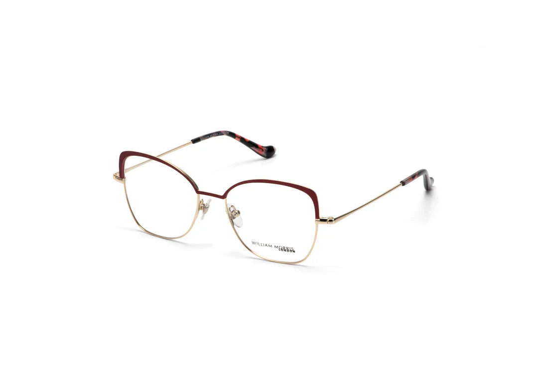 Red Transparent Full Rim Rectangle Eyeglasses WM50214
